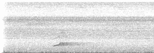 Bushy-crested Hornbill - ML225172