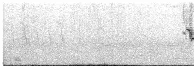 Зерноїд мальований - ML22524051