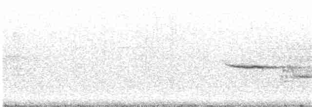 Дрізд-короткодзьоб плямистоволий - ML225337061
