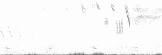 Саванная овсянка [группа sandwichensis] - ML225344981