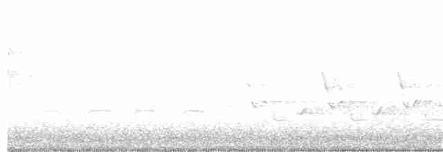 Малая воробьиная овсянка - ML225396601