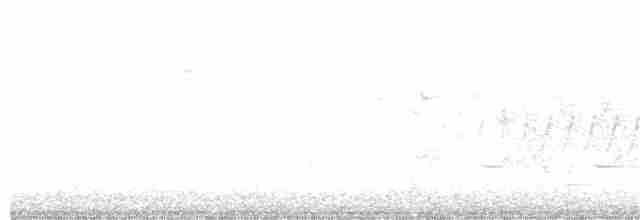 Желтогорлая древесница - ML225396841