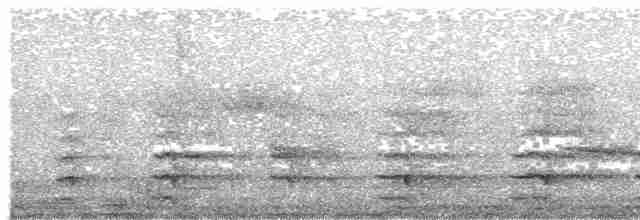 Russet-tailed Thrush - ML225508961