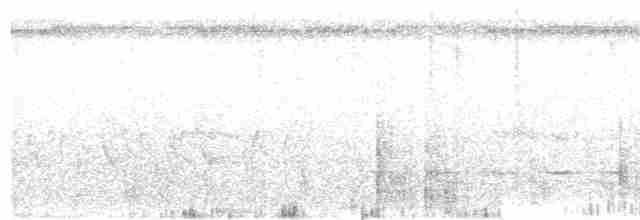Mangrove Whistler - ML225761271