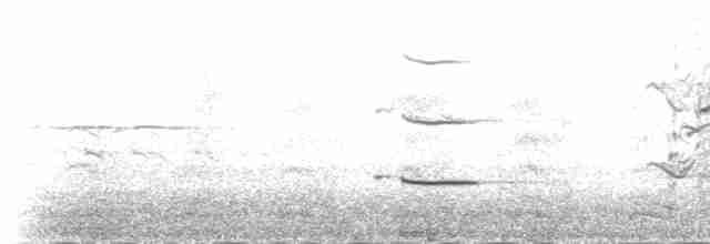 Polarmöwe (kumlieni) - ML225910