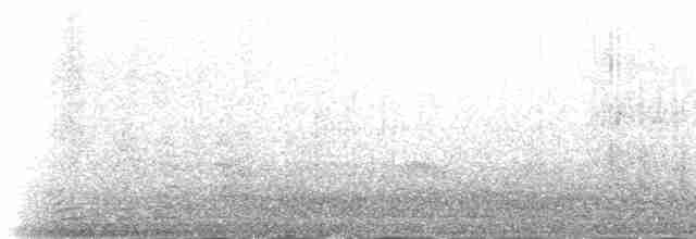 Polarmöwe (kumlieni) - ML225918