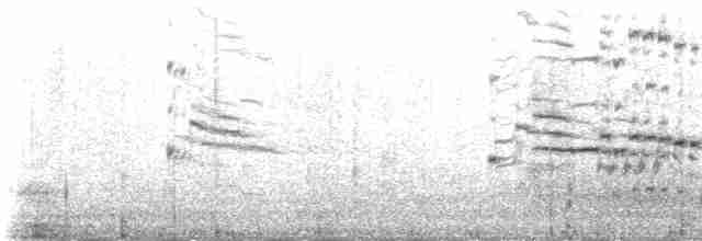 Polarmöwe (kumlieni) - ML225922