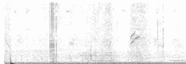 Oriole masqué - ML225985011