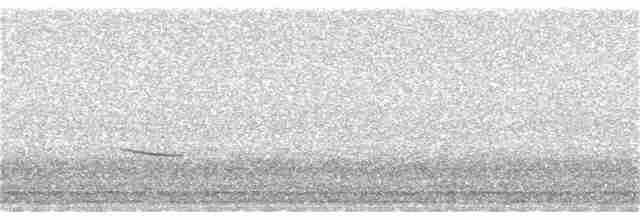 Дрізд-короткодзьоб плямистоволий - ML225992591