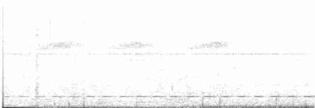 Streifenbrust-Ameisendrossel - ML226008651