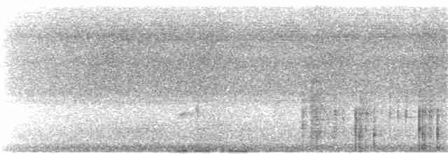 Anthrazitstirnvogel - ML226020471