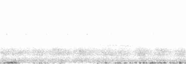 Kestane Karınlı Guguk - ML22606141