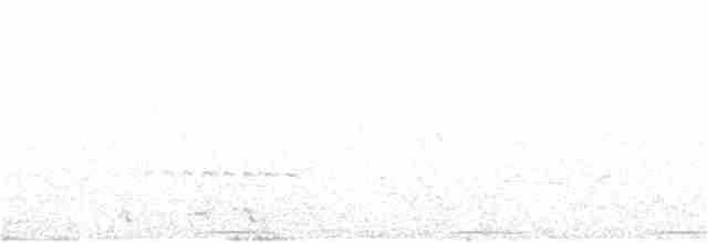 Kestane Karınlı Guguk - ML22609251