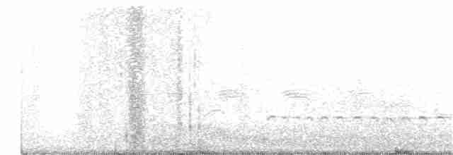 Regenbrachvogel (phaeopus) - ML226107371
