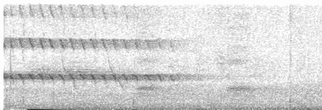 Alción de Esmirna - ML226124451