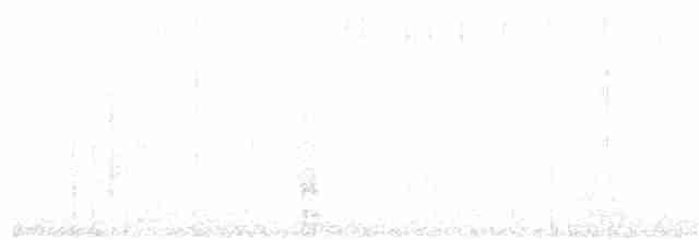 Black-throated Gray Warbler - ML226127341