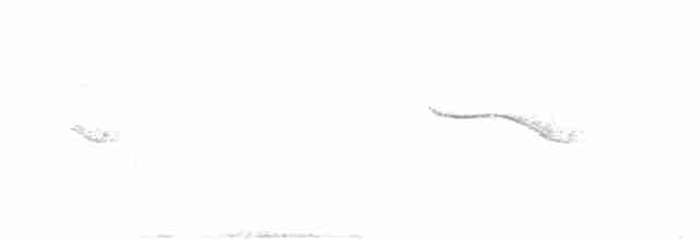Band-winged Nightjar - ML226132061