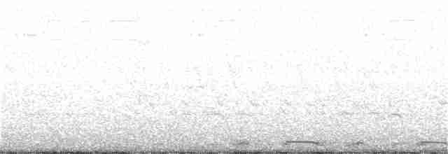 White-winged Dove - ML226162871