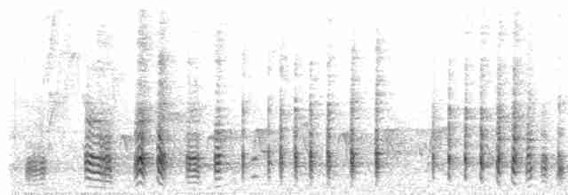 Noisy Friarbird - ML226189