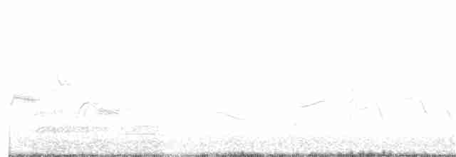 Doğulu Mavi Ardıç - ML226197361