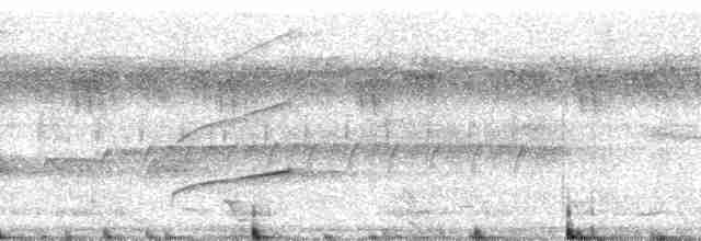 Зозуля товстодзьоба - ML22632