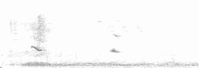 Eurasian Bullfinch - ML226387361