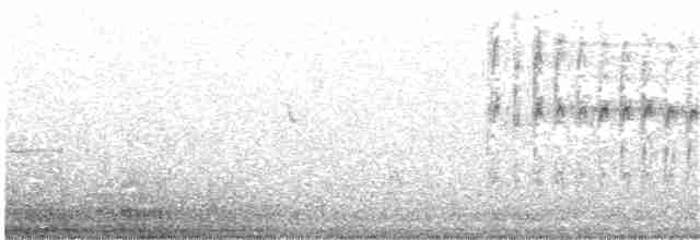 White-throated Swift - ML226389121