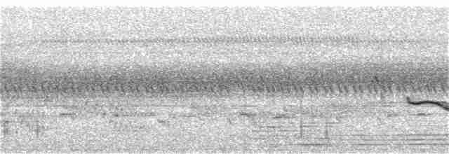 Spot-throated Babbler - ML226462181