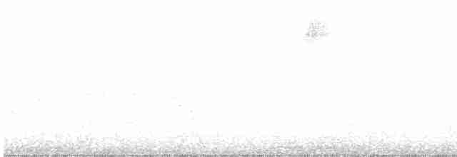 Kentucky Warbler - ML226557181