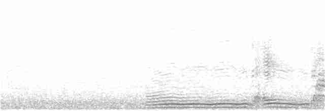 Cory's Shearwater (borealis) - ML226620521
