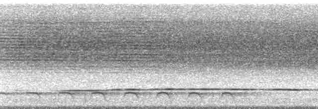 Gözlüklü Yerçavuşu - ML22665