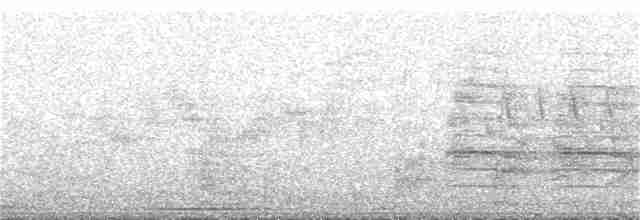 Поплітник каролінський - ML226723141