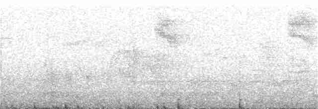 Каролинский крапивник - ML226723241