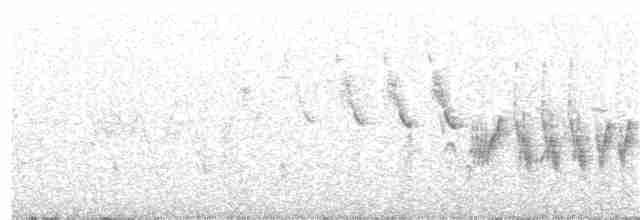Kaya Kekliği - ML226736521