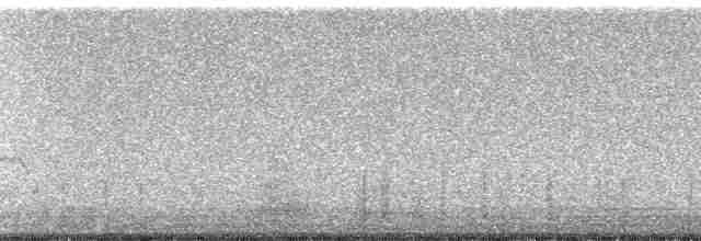 短耳鴞(flammeus) - ML22675