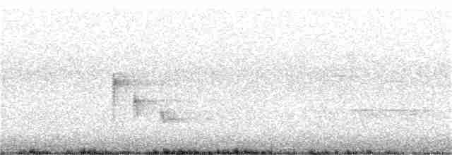 Піранга пломениста - ML226917241