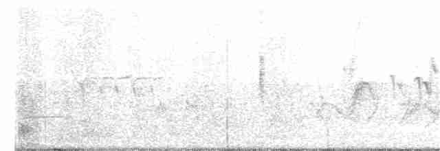 Yellow-rumped Warbler - ML227110211