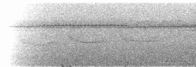 Band-tailed Antwren - ML227147