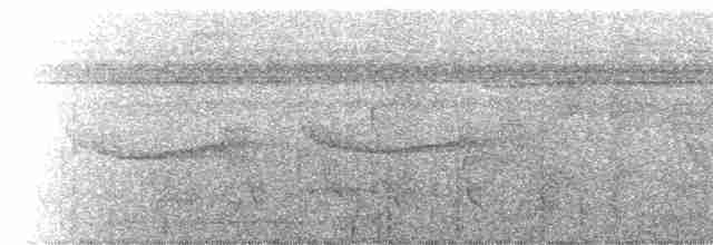 Band-tailed Antwren - ML227173