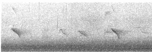 Evening Grosbeak (type 1) - ML227259741