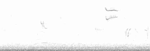 Green-tailed Towhee - ML227287101