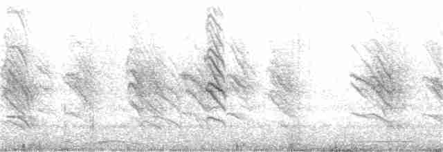 mursvale (pyrrhonota gr.) - ML227295691