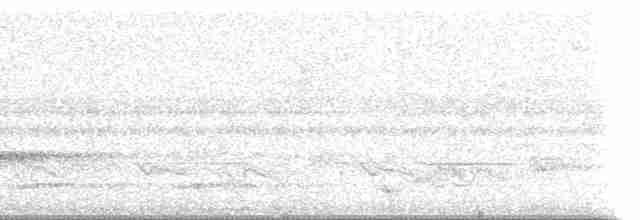 Kestane Karınlı Guguk - ML22730