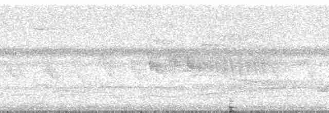 Pracht-Kragenparadiesvogel - ML22735