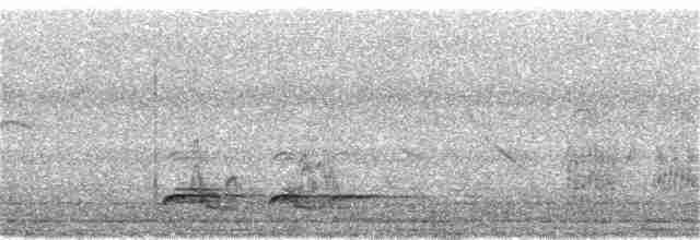 Elegant Crested-Tinamou - ML227399101