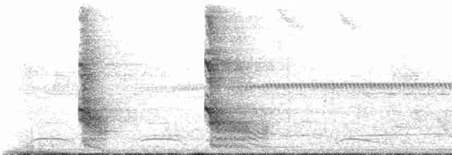 volavka proměnlivá (ssp. striata) - ML227516
