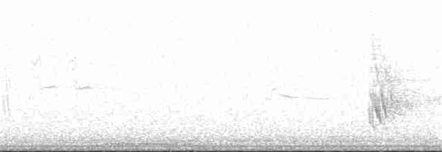 Сероватая ласточка - ML227654801