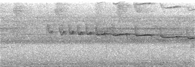 Листовик бурий (підвид peruvianus) - ML227864831