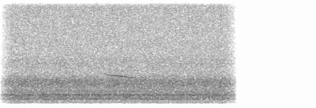 Дрізд-короткодзьоб плямистоволий - ML227867451