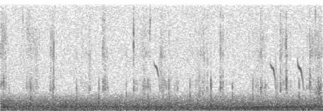 Дятел-смоктун сосновий - ML227926021